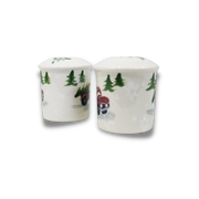 Red Truck Pattern ~ Salt & Pepper Shakers