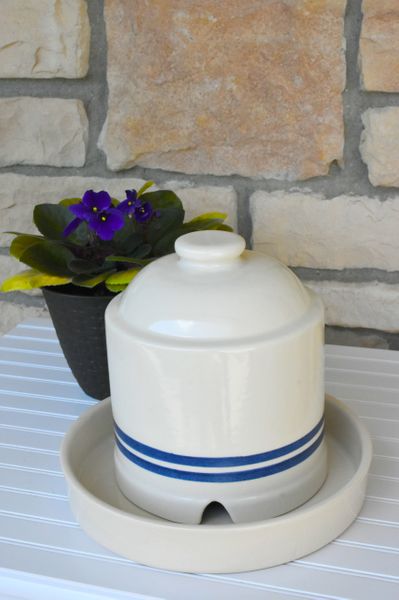 Automatic Watering Dish